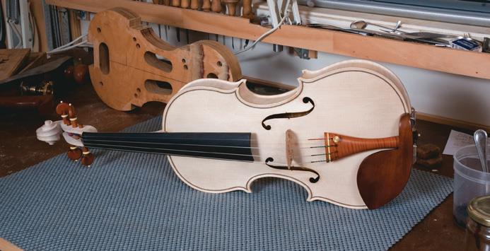 White violin.